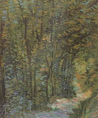 Vincent Van Gogh Path in the Woods (nn04)
